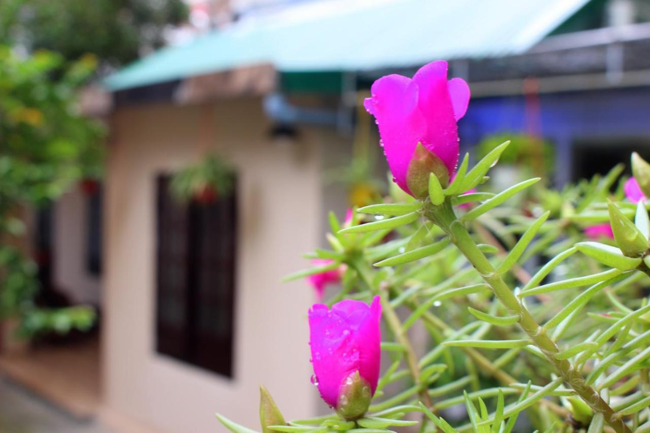 Minh Tú Homestay Hue Exterior foto